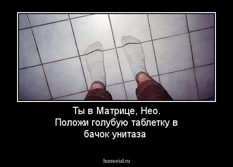 Ты в Матрице, Нео. Положи голубую таблетку в бачок унитаза