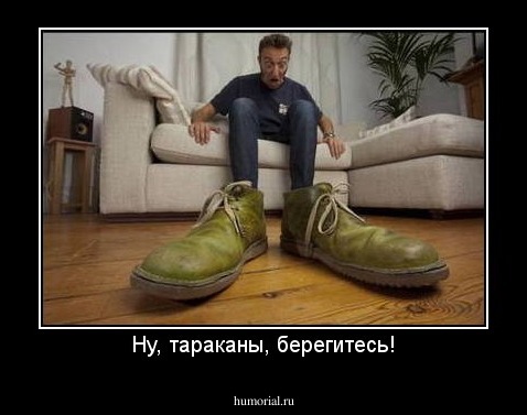 Ну, тараканы, берегитесь!