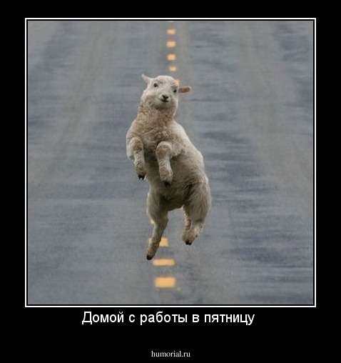 Домой с работы в пятницу 