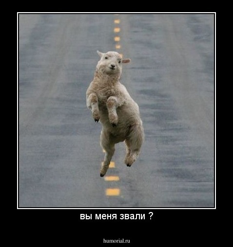 вы меня звали ?