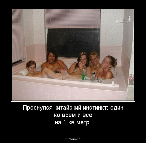 Проснулся китайский инстинкт:  один ко всем и все на 1 кв метр 