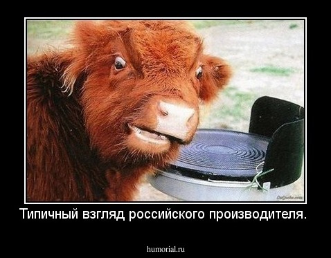 Типичный взгляд российского производителя. 