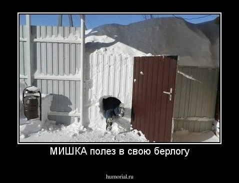 МИШКА полез в свою берлогу