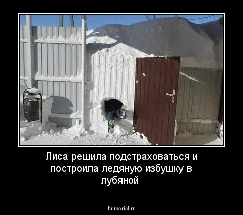Лиса решила подстраховаться и построила ледяную избушку в лубяной 