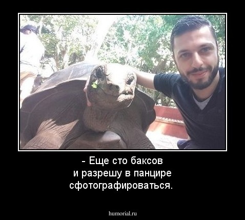 - Еще сто баксов и разрешу в панцире сфотографироваться.