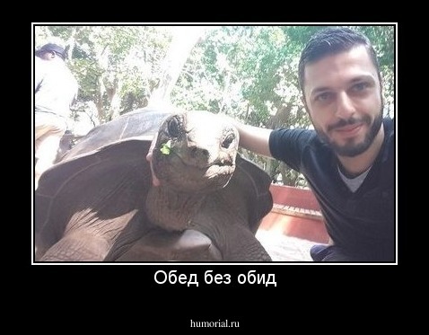 Обед без обид