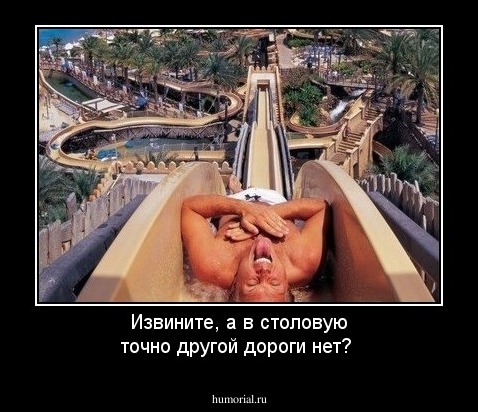 Извините, а в столовую точно другой дороги нет?