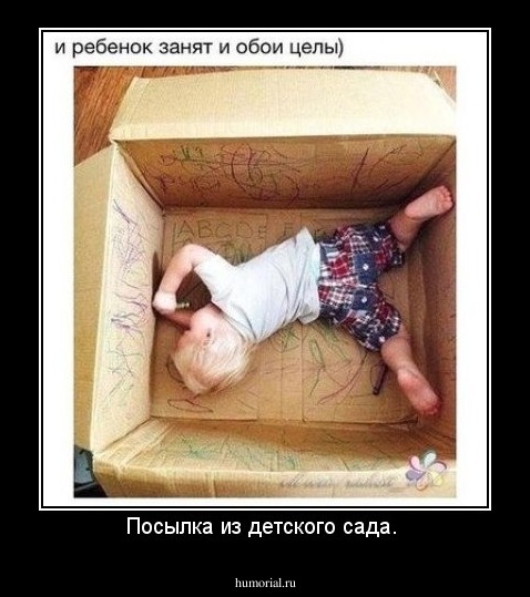 Посылка из детского сада. 