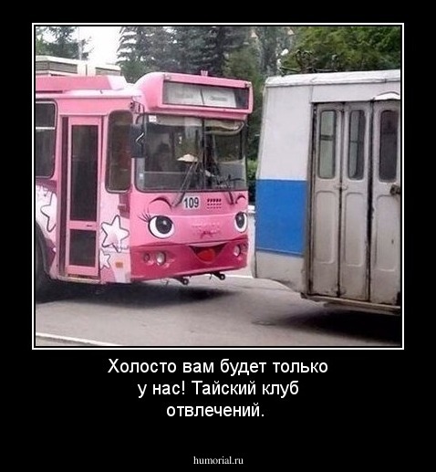 Холосто вам будет только у нас! Тайский клуб отвлечений.