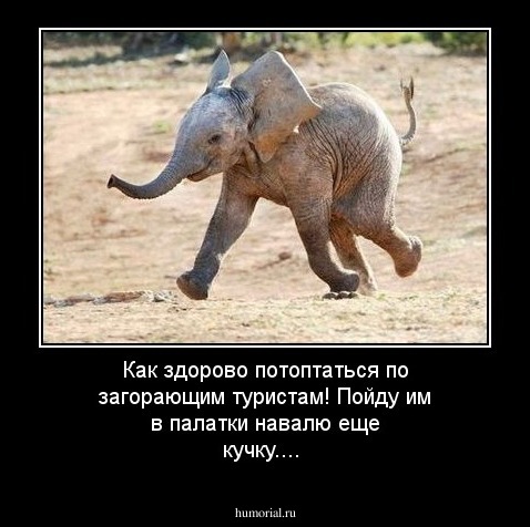 Как здорово потоптаться по загорающим туристам! Пойду им в палатки навалю еще кучку....