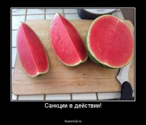 Санкции в действии!