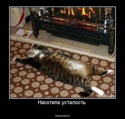 Накотила усталость 