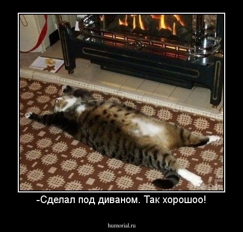 -Сделал под диваном. Так хорошоо!