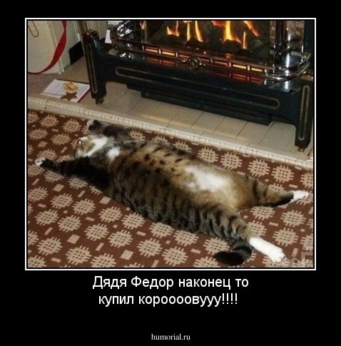 Дядя Федор наконец то купил короооовууу!!!!