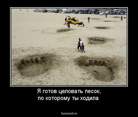 Я готов целовать песок, по которому ты ходила