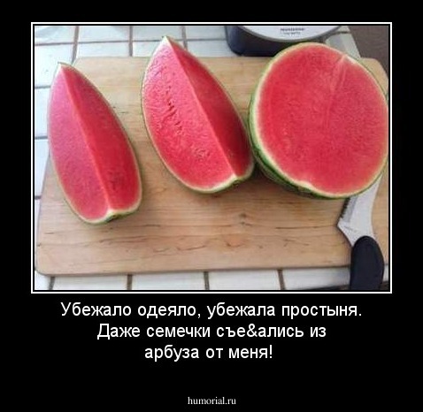 Убежало одеяло, убежала простыня. Даже семечки съе&ались из арбуза от меня!
