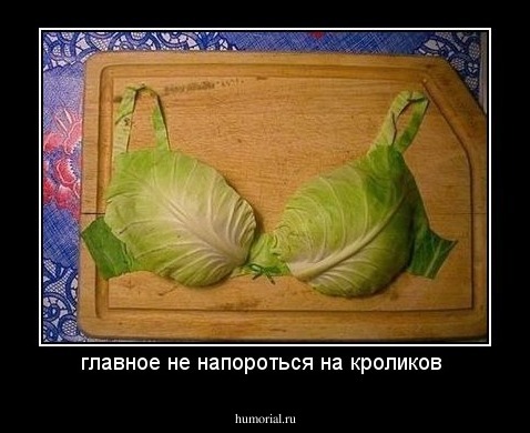 главное не напороться на кроликов 