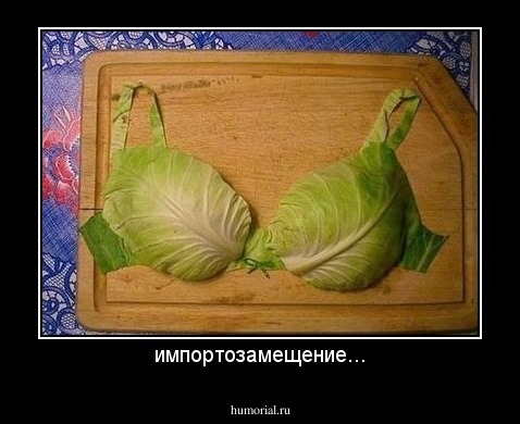 импортозамещение...