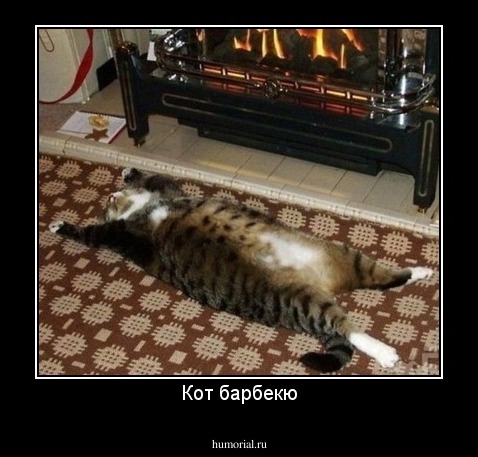 Кот барбекю