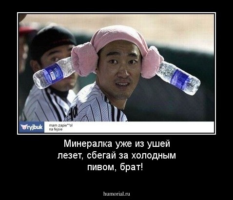 Минералка уже из ушей лезет, сбегай за холодным пивом, брат!