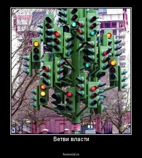 Ветви власти