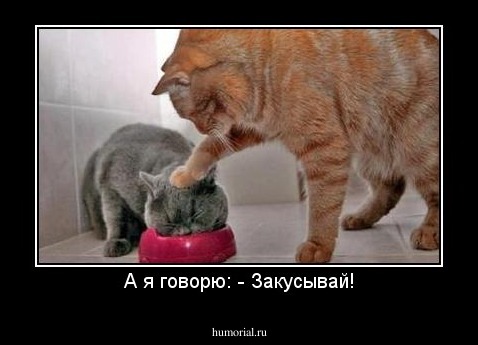 А я говорю: - Закусывай!