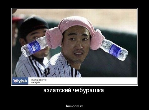 азиатский чебурашка 