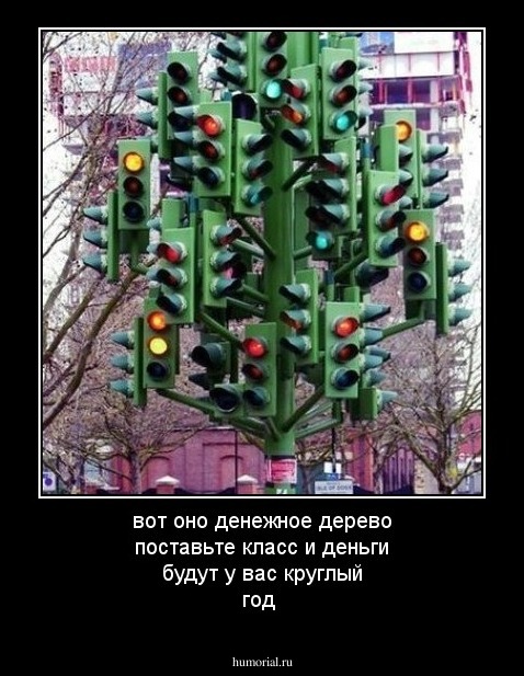 вот оно денежное дерево поставьте класс  и деньги будут у вас круглый год 