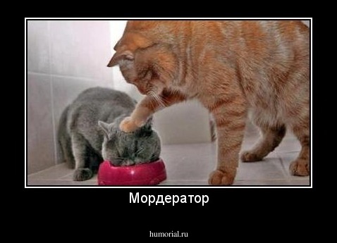 Мордератор
