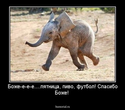 Боже-е-е-е....пятница, пиво, футбол! Спасибо Боже!