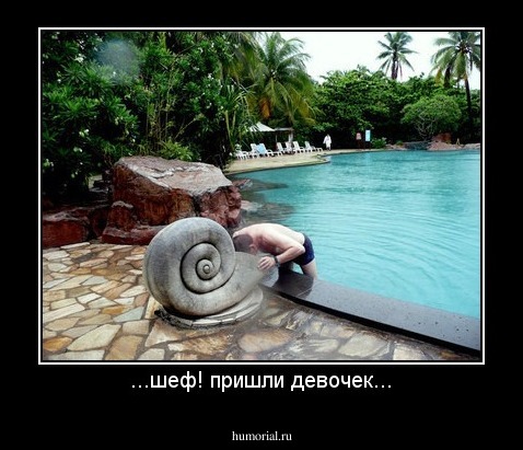 ...шеф! пришли девочек...