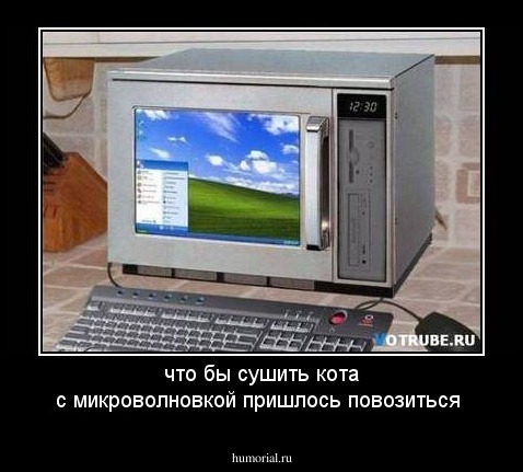 что бы сушить кота с микроволновкой пришлось повозиться