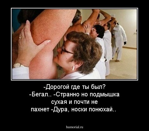 -Дорогой где ты был? 
-Бегал..
-Странно но подмышка сухая и почти не пахнет
-Дура, носки понюхай..
