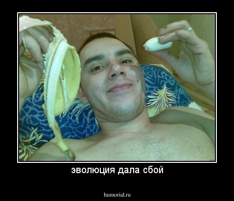 эволюция дала сбой