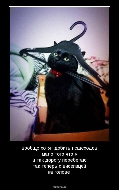 вообще хотят добить пешеходов мало того что я и так дорогу перебегаю так теперь с виселицей на голове 