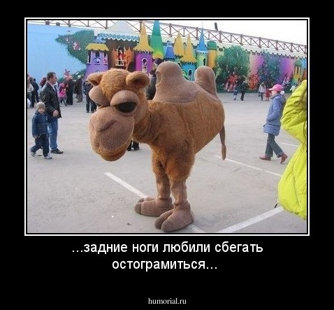 ...задние ноги любили сбегать остограмиться...