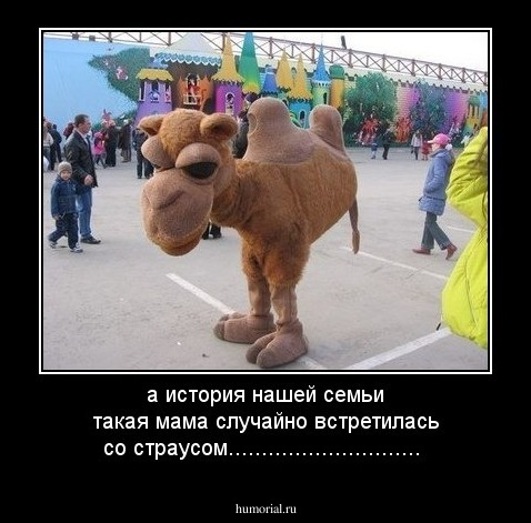 а история нашей семьи такая мама случайно встретилась со страусом.............................