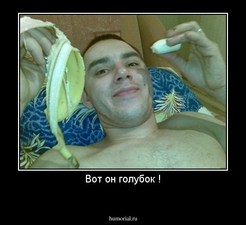 Вот он голубок !

