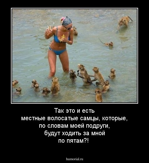 Так это и есть местные волосатые самцы, которые, по словам моей подруги, будут ходить за мной по пятам?!