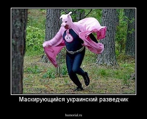 Маскирующийся украинский разведчик