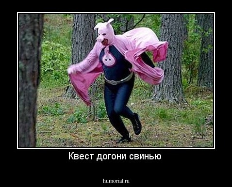 Квест догони свинью 