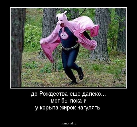 до Рождества еще далеко... мог бы пока и у корыта жирок нагулять