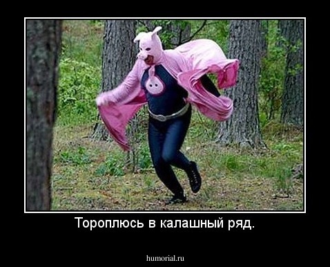 Тороплюсь в калашный ряд.