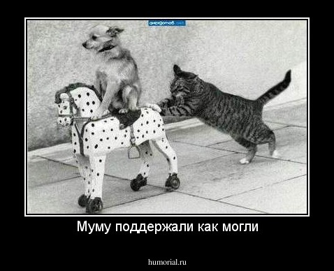 Муму поддержали как могли