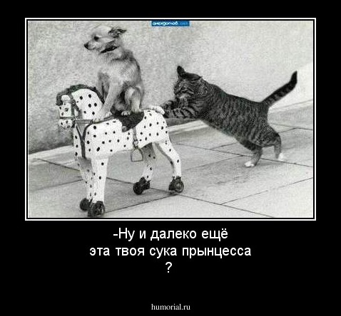 -Ну и далеко ещё  эта твоя  сука прынцесса ?