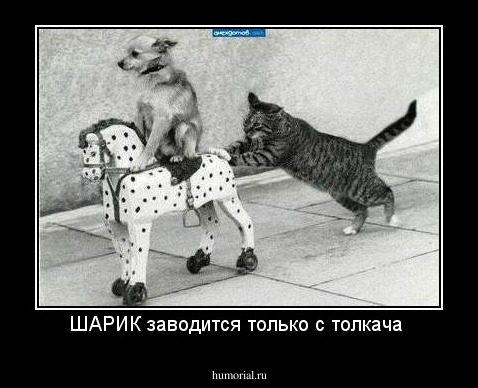 ШАРИК заводится только с толкача 