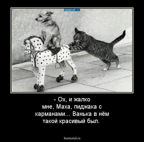 - Ох, и жалко мне, Маха, пиджака с карманами... Ванька в нём такой красивый был.