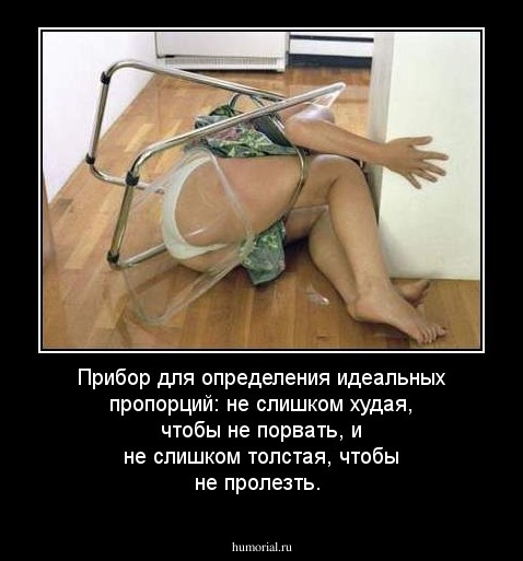 Прибор для определения идеальных пропорций: не слишком худая, чтобы не порвать, и не слишком толстая, чтобы не пролезть.