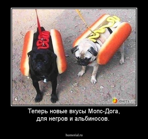 Теперь новые вкусы Мопс-Дога, для негров и альбиносов.