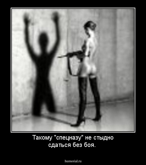 Такому "спецназу" не стыдно сдаться без боя.